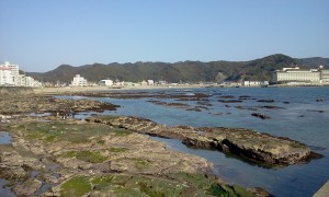 小湊の磯