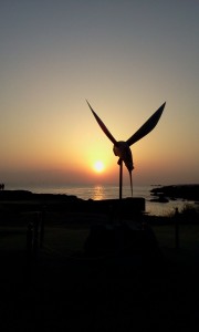 明日に向かってとびうお